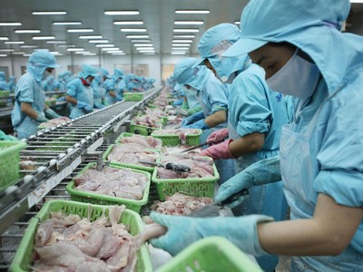 Mỹ đang là thị trường xuất khẩu lớn nhất của Việt Nam với các sản phẩm tiêu dùng như dệt may, thủy sản, đồ gỗ nội thất…