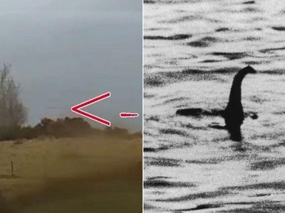 Chưa bao giờ quái vật hồ Loch Ness lại xuất hiện nhiều như trong năm 2021