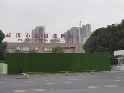 Đoàn chuyên gia của Tổ chức Y tế thế giới đã có 28 ngày làm việc tại thành phố Vũ Hán (Nguồn: WSJ).