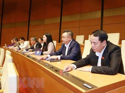 Đại biểu Quốc hội biểu quyết. (Ảnh: Phương Hoa/TTXVN).