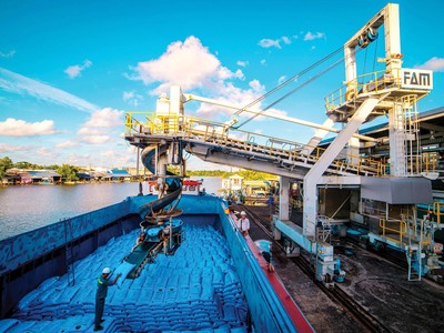 Phân bón Cà Mau chinh phục thị trường quốc tế