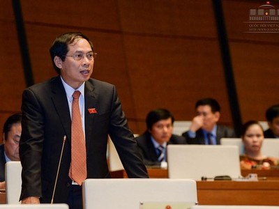 Ông Bùi Thanh Sơn phát biểu tại Quốc hội.