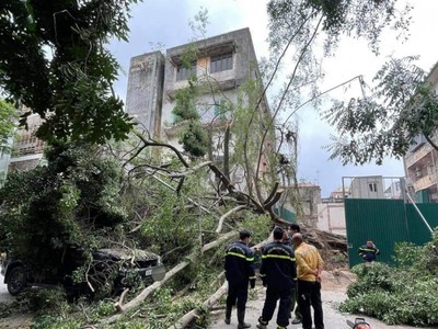 Nơi xảy ra sự việc.