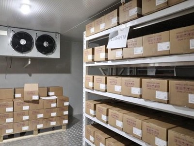 Vaccine tiếp nhận được bảo quản tại kho vaccine tiêm chủng quốc gia thuộc Viện Vệ sinh dịch tễ Trung ương, ở nhiệt độ từ 2-8 độ C. (Ảnh: Minh Quyết/TTXVN).