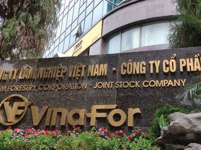 Vinafor sở hữu nhiều lô đất vàng tại Hà Nội. Ảnh: Dũng Minh.