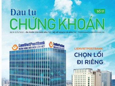 Đầu tư Chứng khoán số 17/2021