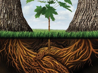 “M&A phải giữ vai trò tái cấu trúc, tạo chuỗi” 