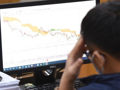 Trong hai tuần qua, VN-Index điều chỉnh nhẹ, nhưng các cổ phiếu vốn hóa trung bình giảm giá mạnh.