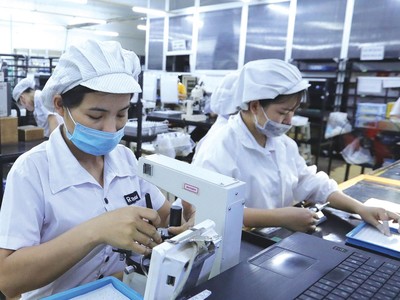 Giá nguyên liệu đầu vào sản xuất nông nghiệp và công nghiệp đều đang tăng mạnh.