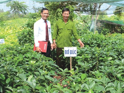 Agribank giữ vững “trận địa” nông thôn, vùng sâu, vùng xa