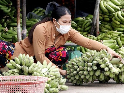 Tiểu thương tại Chợ phường 7, thành phố Cà Mau thực hiện mang khẩu trang để phòng, chống dịch COVID-19. (Ảnh: Kim Há/TTXVN).