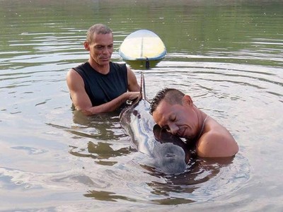 Chú cá heo may mắn được những người dân địa phương phát hiện và giải cứu.