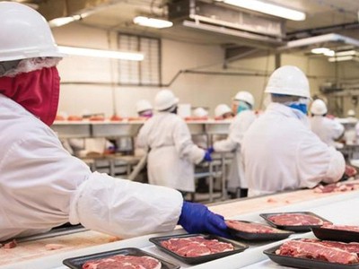 Thiếu hụt nhân công, nỗi lo hậu Covid-19