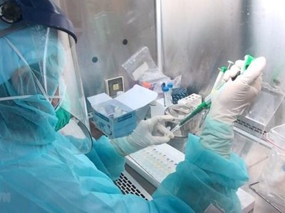 Lấy mẫu xét nghiệm virus SARS-CoV-2. (Ảnh: TTXVN).