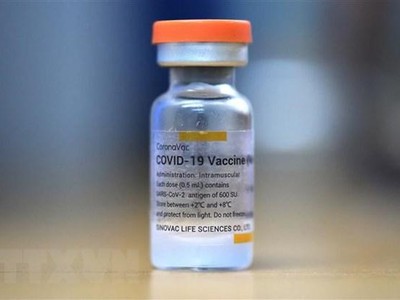 Vaccine ngừa COVID-19 của Sinovac. (Nguồn: AFP/TTXVN).