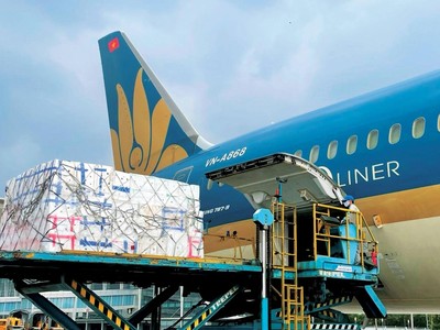 Để có nguồn thu, các tàu thân rộng của Vietnam Airlines đều được tháo ghế để chở hàng.