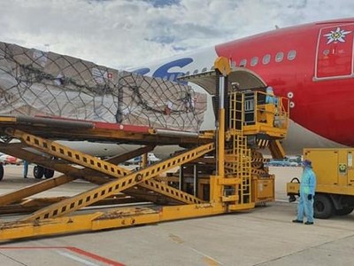 Lô hàng viện trợ từ Thụy Sỹ. (Ảnh: PV/Vietnam+).