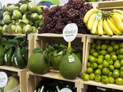 Tư vấn, hỗ trợ doanh nghiệp tìm kiếm đầu ra cho sản phẩm nông sản Việt Nam.