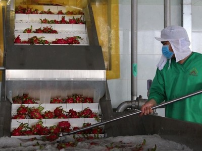 Tại Long An, có hơn 1.000 doanh nghiệp trên địa bàn đăng ký hoạt động theo phương án “3 tại chỗ”.