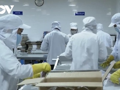 Bà Rịa - Vũng Tàu sẽ cho một số ngành nghề hoạt động trở lại từ ngày 15/9.