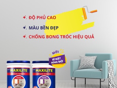 Maxilite và những điều thú vị ít người biết