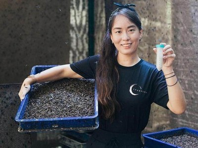 Chua Kai-Ning. Ảnh: TNP.