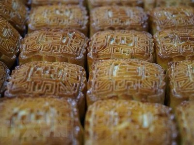 (Ảnh minh họa. Bích Huệ/TTXVN).