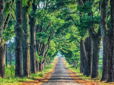 Gia Lai sở hữu nhiều thắng cảnh độc đáo.