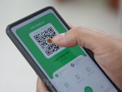 Người dùng có thể nâng cấp ứng dụng Bluezone thành PC-Covid. (Ảnh: Minh Sơn/Vietnam+).