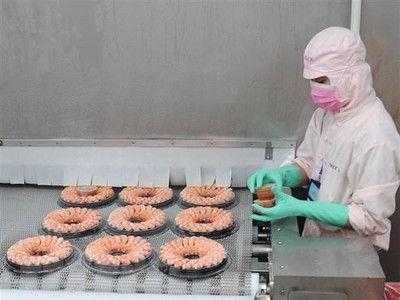 Công nhân tại một doanh nghiệp thủy sản ở Cà Mau. (Nguồn: TTXVN).