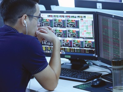 Các cổ phiếu họ Louis thu hút sự chú ý lớn của thị trường thời gian qua.