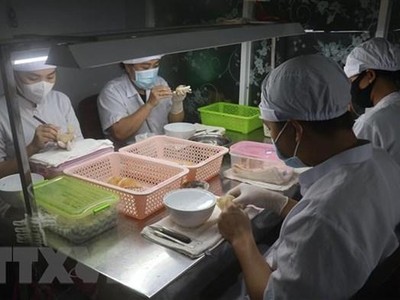 Sơ chế sản phẩm yến tinh tại cơ sở yến sào Du Long, Thành phố Rạch Giá (Kiên Giang). (Ảnh: Lê Huy Hải/TTXVN).