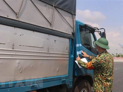 (Ảnh minh họa: Thanh Vân/TTXVN).