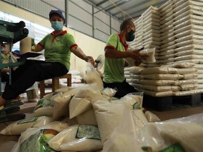 Đóng gói gạo tại công ty kinh doanh chế biến nông sản Bảo Minh ở quận Hoàng Mai (Hà Nội). (Ảnh: Vũ Sinh/TTXVN).