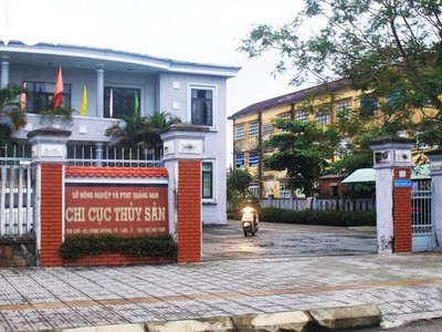 Cách chức Chi cục trưởng Chi cục Thủy sản tỉnh Quảng Nam