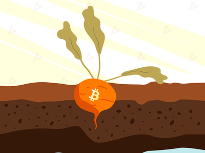 Giá Bitcoin hôm nay ngày 12/11: Giới đầu tư kỳ vọng bản nâng cấp Taproot sẽ đem đến luồng gió mới cho Bitcoin