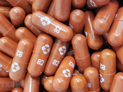 Thuốc kháng virus Molnupiravir dạng uống. (Ảnh: AFP/TTXVN).
