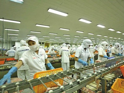 Sau 2 tháng giảm 24-27% so với cùng kỳ, xuất khẩu thủy sản tháng 10/2021 đã trở lại mức tương đương của tháng 10/2020. Ảnh: Đức Thanh.