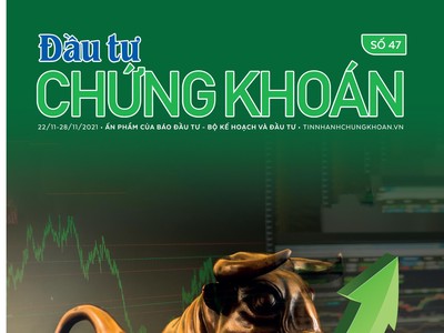 Đầu tư Chứng khoán số 47/2021