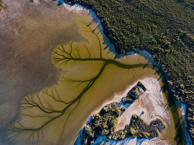 Món quà kỳ diệu thiên nhiên ban tặng con người sau cơn giông bão