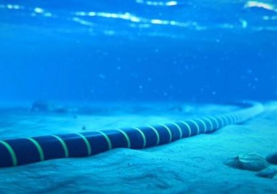 Ảnh minh họa. (Nguồn: acacia-inc.com).