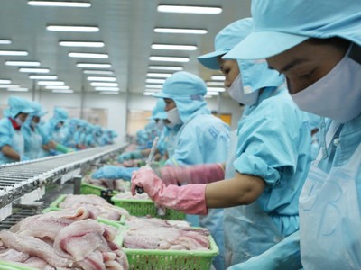 Cổ phiếu thủy sản qua cơn bĩ cực