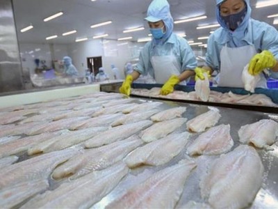 Chi phí tăng cao ăn mòn lợi nhuận Caseamex quý III/2021.