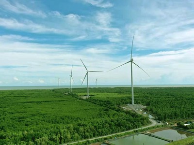 FECON (FCN) phát hành thành công 32 triệu cổ phiếu riêng lẻ, tăng vốn điều lệ lên 1.574 tỷ đồng