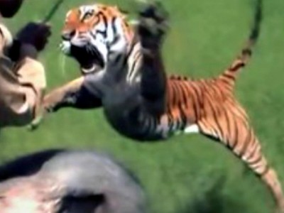 Luật đầu tiên cần phải nhớ khi đến Ấn Độ: Đừng bao giờ "giỡn mặt" một con hổ Bengal