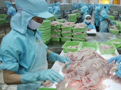 Doanh nghiệp thủy sản đang tăng tốc để tận dụng cơ hội thị trường cuối năm.