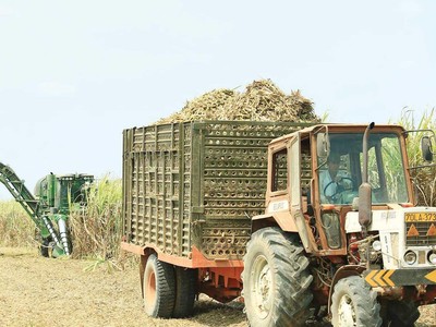Giá bán tăng, biên lợi nhuận được cải thiện, cổ phiếu mía đường được kỳ vọng sẽ tiếp tục mang lại vị ngọt cho nhà đầu tư.