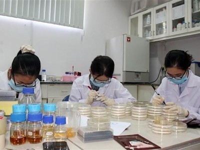 Hoạt động tại Phòng Công nghệ sinh học Trung tâm Nghiên cứu triển khai Khu Công nghệ cao Thành phố Hồ Chí Minh. (Ảnh: Tiến Lực/TTXVN).