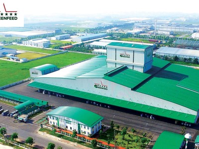 GreenFeed huy động vốn trái phiếu nhằm phát triển mảng chăn nuôi lợn, kinh doanh thức ăn chăn nuôi và chế biến thực phẩm.