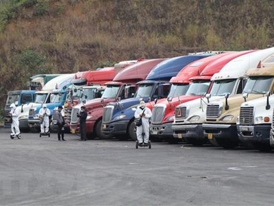 Xe hàng tập kết tại khu vực cửa khẩu Quốc tế Hữu Nghị (Lạng Sơn) chờ thông quan xuất khẩu. (Ảnh: Quang Duy/TTXVN).